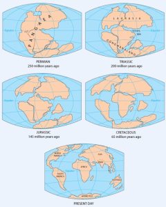 model of the movements of the continents