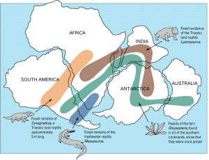 map depicting Pangea and the connections of fossils.