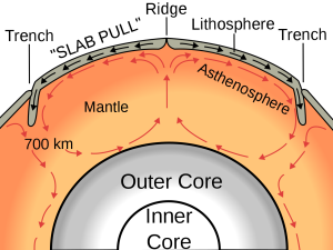 diagram of convection cells