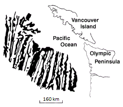 image of the Pacific Northwest coastline