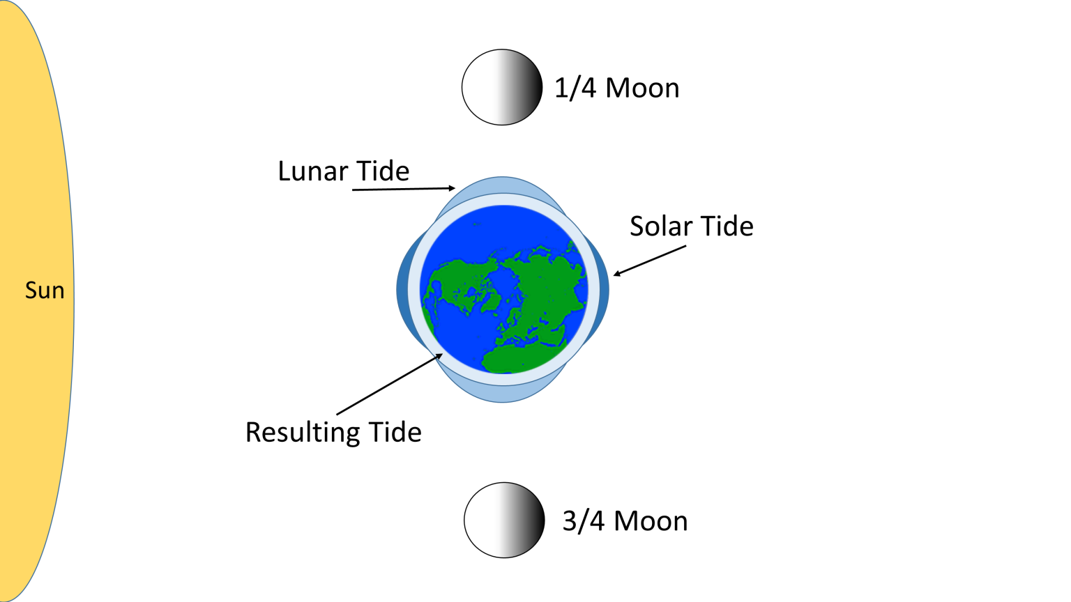 3.5 Tidal Forces – Introduction to Oceanography