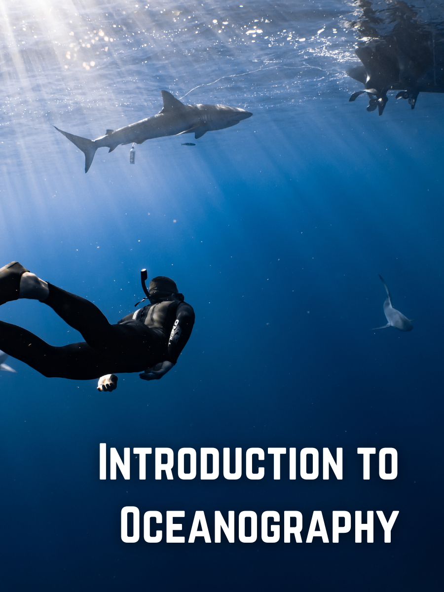 Cover image for Introduction to Oceanography