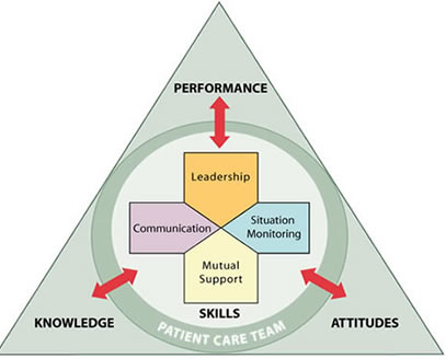 Image of triangle showing Team Steps Framwork, with textual labels