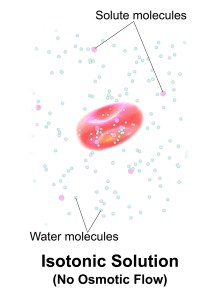 Image showing Lack of Fluid Movement When Isotonic IV Solution Is Administered 