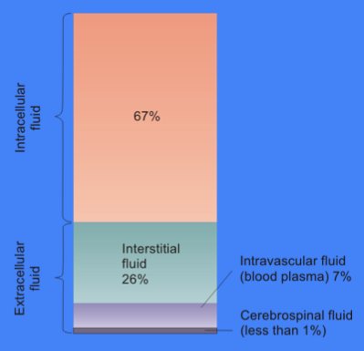 Image showing Intracellular and Extracellular Fluid Compartments, with labels