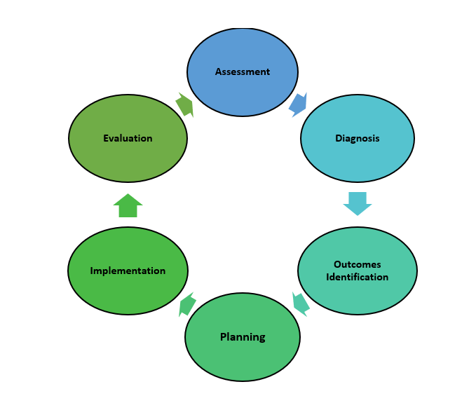 Image showing workflow of nursing process, with labels